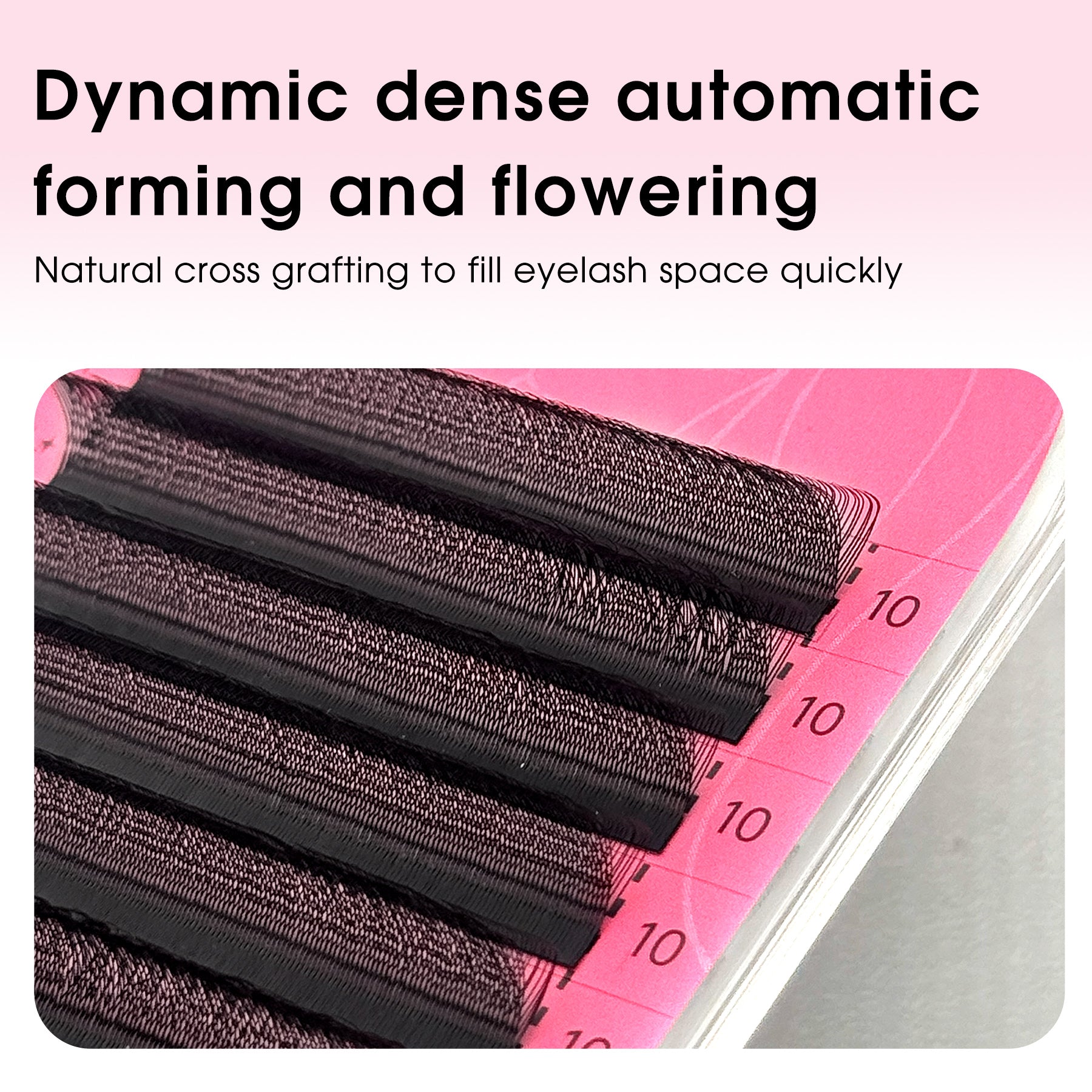 Leques de pestanas pré-fabricados em formato W 3D | Pestanas individuais macias