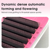 Leques de pestanas pré-fabricados em formato W 3D | Pestanas individuais macias