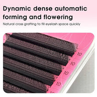 Merrdear 3D W Lash Extensions 0.07/0.10mm C/D curl Premade Volume Fans