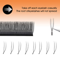 2D UU Shape Premade Volume Fans Matte Black Double Tips