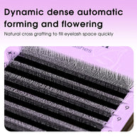 5D W Lash Extensions 0.07/0.10mm C/D curl Premade Volume Fans Merrdear