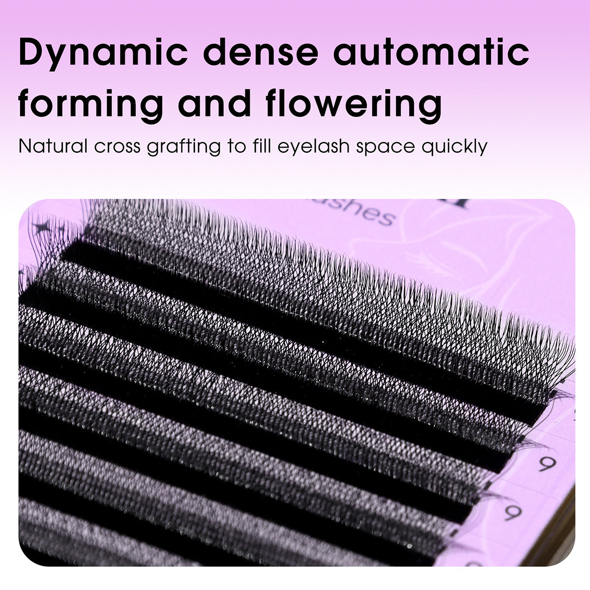 Abanicos de volumen 5D en forma de W con autofloración | Suministro de pestañas de visón sintético