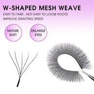 Abanicos de volumen 5D en forma de W con autofloración | Suministro de pestañas de visón sintético