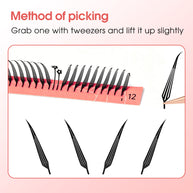 Merrdear Comic-B Eyelash-12Rows/Tray-5 Models