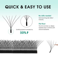 Abanicos de volumen prefabricados en forma de W 6D | Proveedor profesional de pestañas