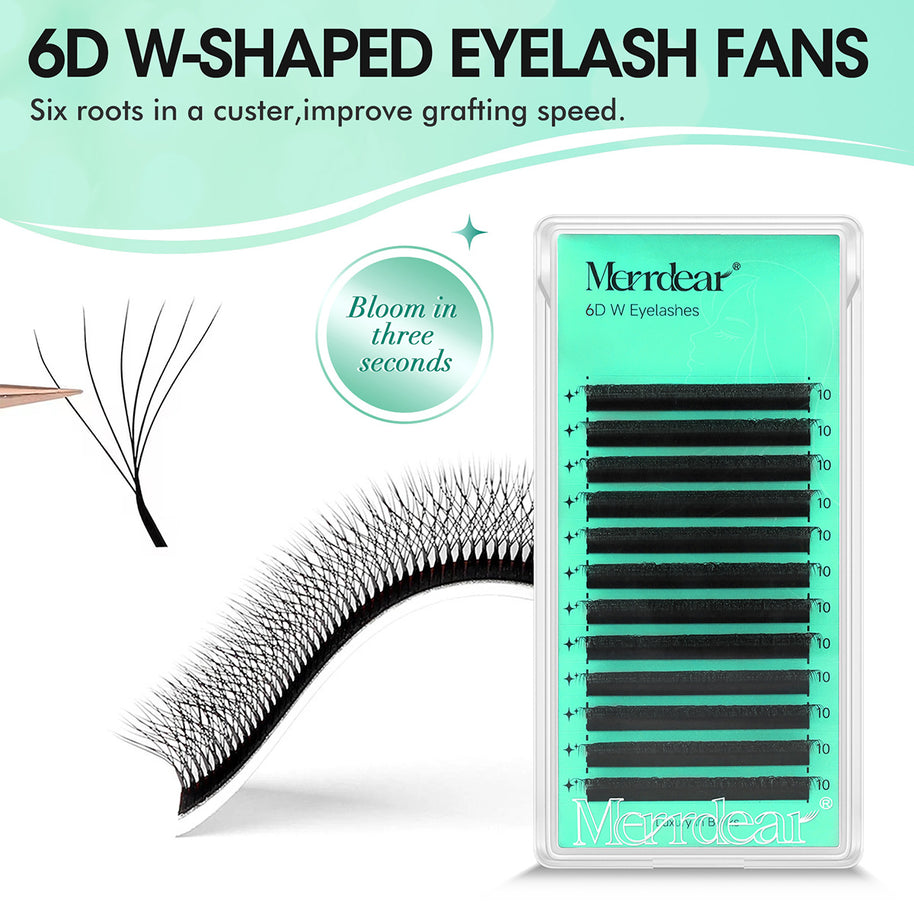 Abanicos de volumen prefabricados en forma de W 6D | Proveedor profesional de pestañas