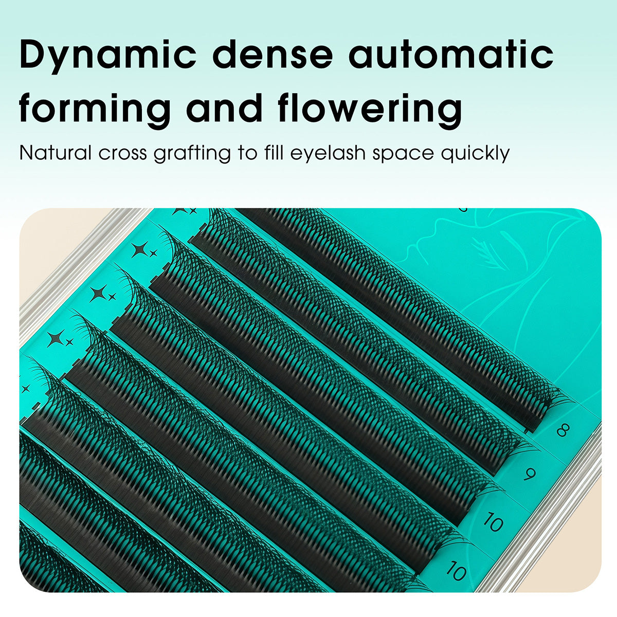 Abanicos de volumen prefabricados en forma de W 6D | Proveedor profesional de pestañas