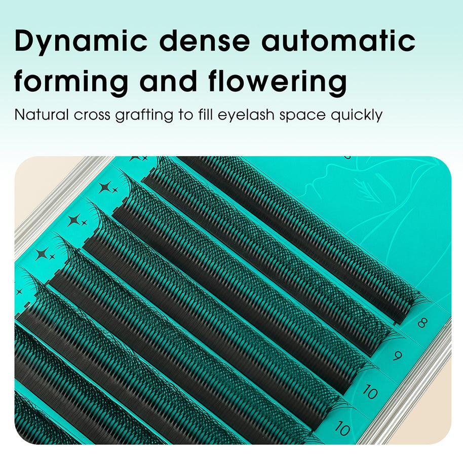 Abanicos de volumen prefabricados en forma de W 6D | Proveedor profesional de pestañas