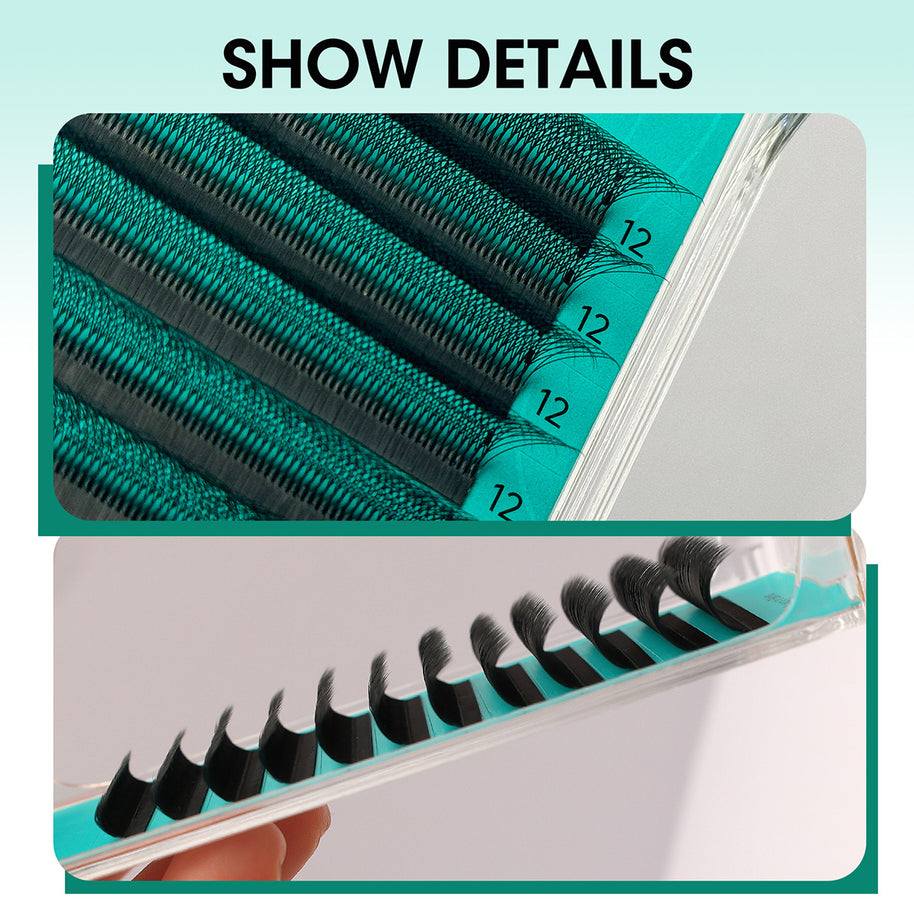 Abanicos de volumen prefabricados en forma de W 6D | Proveedor profesional de pestañas