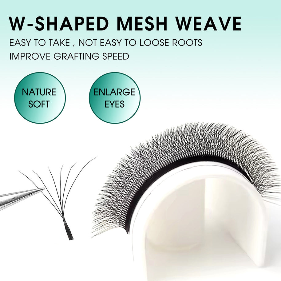 Abanicos de volumen prefabricados en forma de W 6D | Proveedor profesional de pestañas