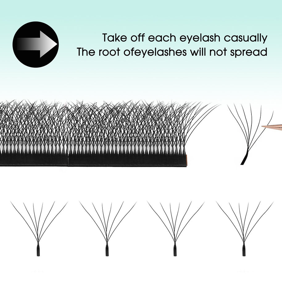 Abanicos de volumen prefabricados en forma de W 6D | Proveedor profesional de pestañas
