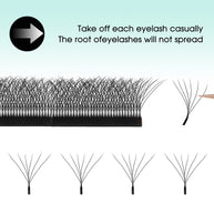 Abanicos de volumen prefabricados en forma de W 6D | Proveedor profesional de pestañas