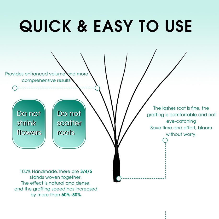 Abanicos de volumen prefabricados en forma de W 6D | Proveedor profesional de pestañas