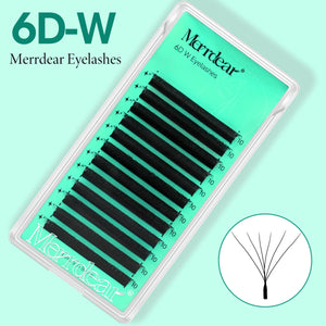 6D W-Shape Premade Volume Fans | Professional Lash Supplier