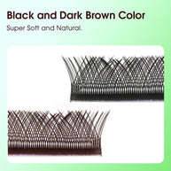 YY 0.07mm Black/Brown Lashes Shape Eyelash Extensions Curl C/D