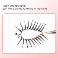 Merrdear Comic-B Eyelash-12Rows/Tray-5 Models