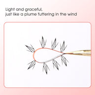 Merrdear Comic D Eyelash-12Rows/Tray-5 Models