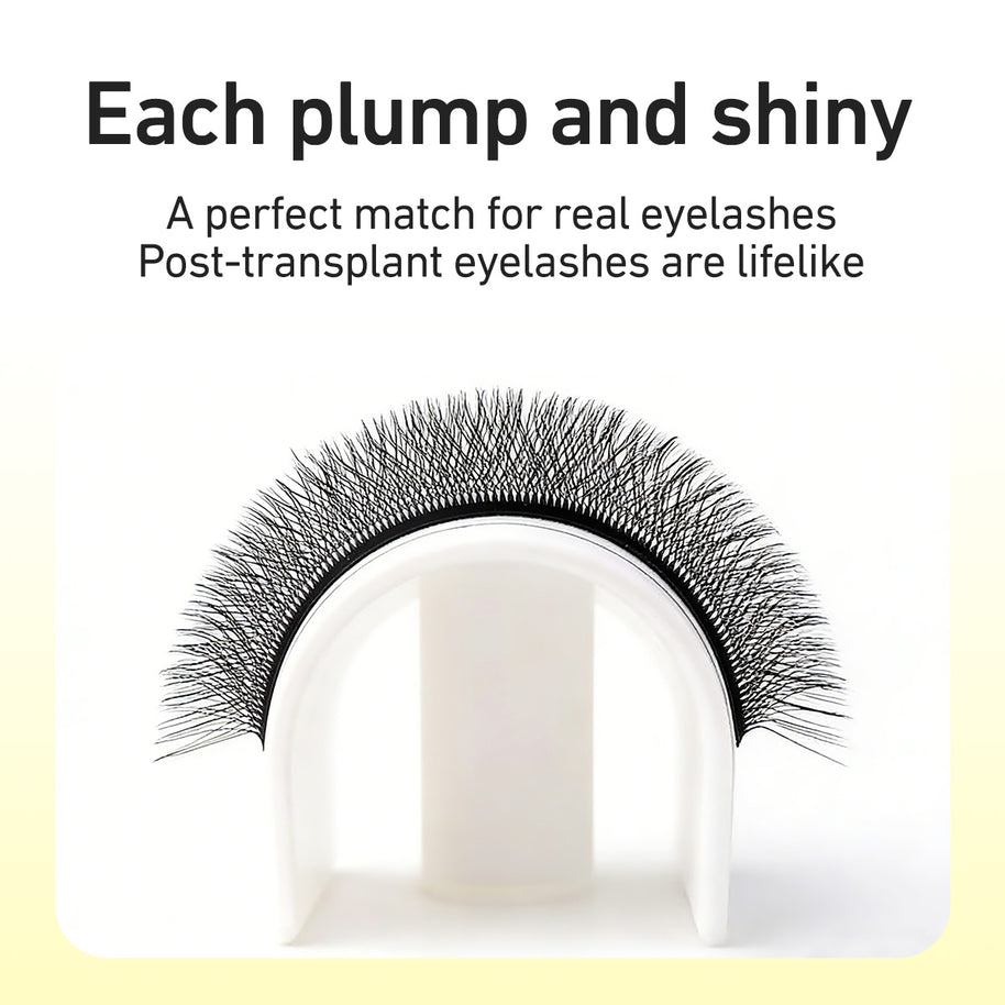 Merrdear 0.10mm 4D W Shape Eyelash Extensions C/D Curl