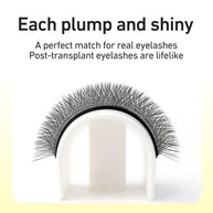 Merrdear 0.10mm 4D W Shape Eyelash Extensions C/D Curl