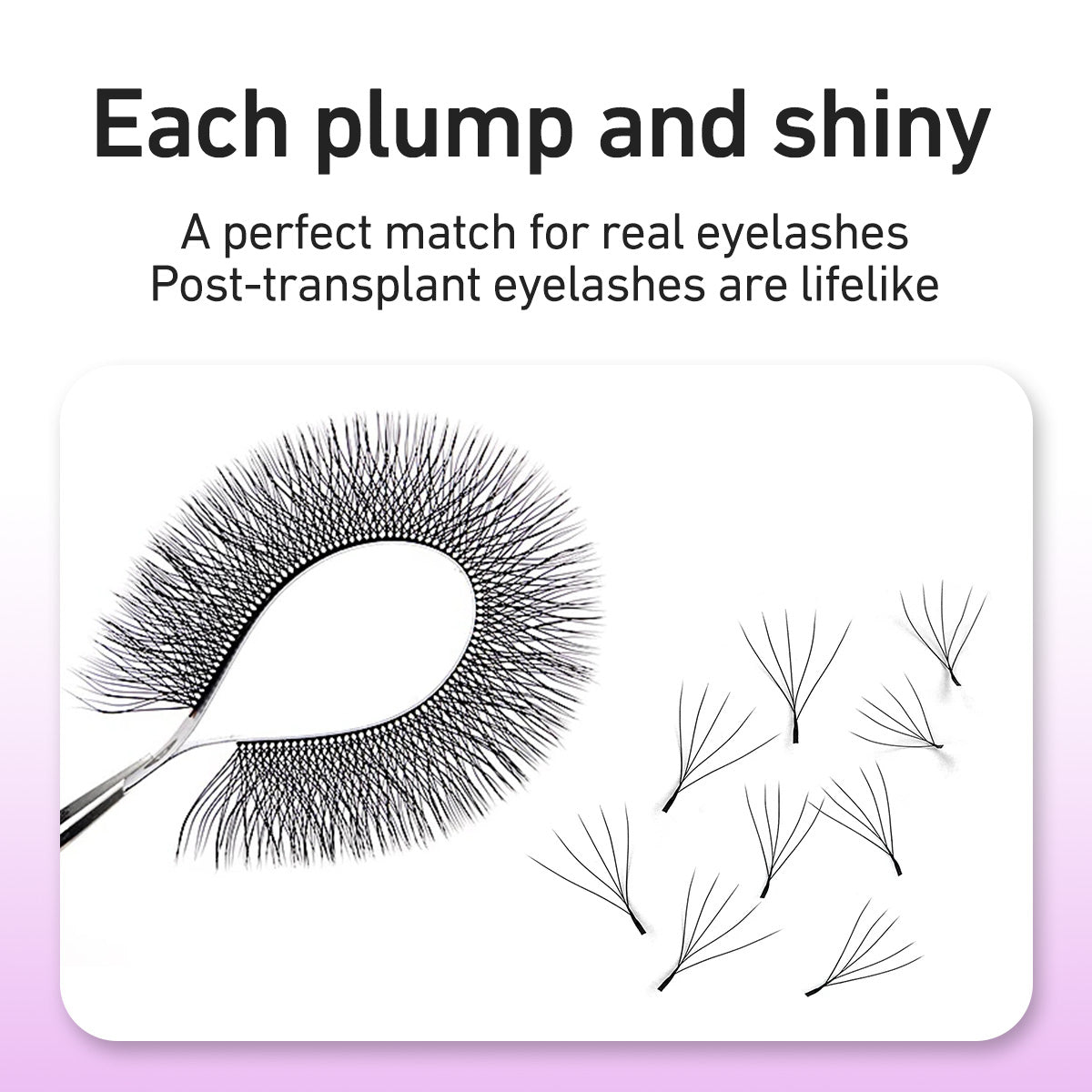 Merrdear 0.10mm 5D W Shape Eyelash Extensions C/D Curl