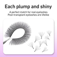 Merrdear 0.10mm 5D W Shape Eyelash Extensions C/D Curl